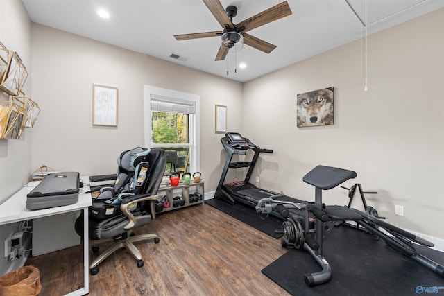 office with ceiling fan and hardwood / wood-style floors