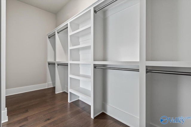 interior space featuring dark hardwood / wood-style flooring