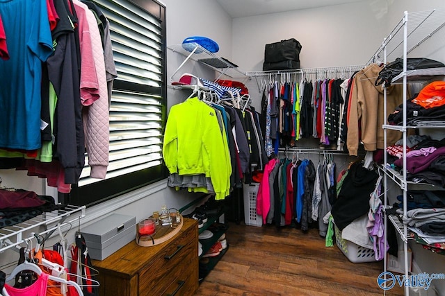 spacious closet with hardwood / wood-style flooring