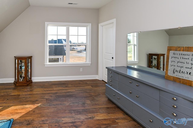 interior space featuring lofted ceiling, dark hardwood / wood-style flooring, and a wealth of natural light