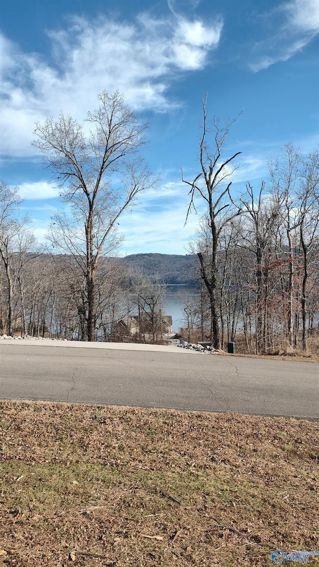 Listing photo 3 for 147 Lookout Mountain Dr, Scottsboro AL 35769