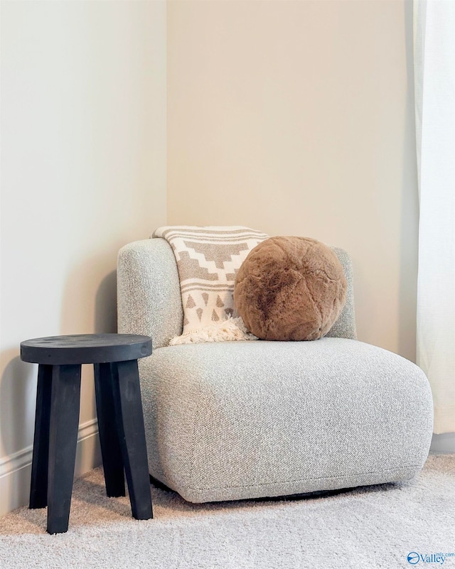 sitting room with carpet