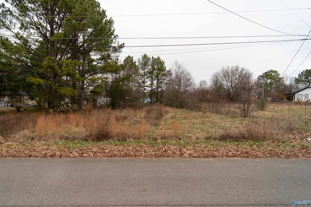 4ACRES Stardust Cir, Toney AL, 35773 land for sale