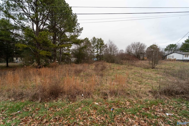 Listing photo 3 for 4ACRES Stardust Cir, Toney AL 35773