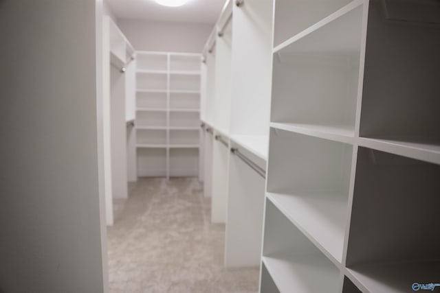 walk in closet with light colored carpet