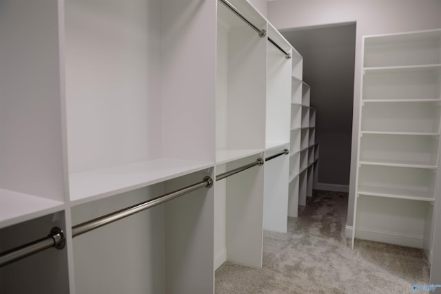 spacious closet with light colored carpet