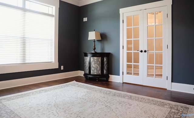 interior space featuring dark wood-type flooring and french doors