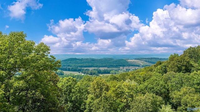 property view of mountains