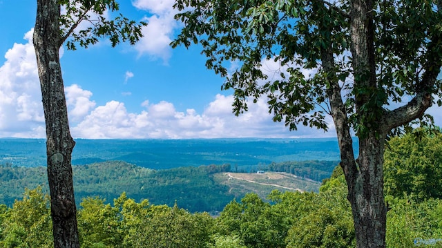 property view of mountains