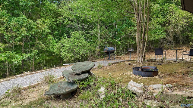 view of yard with an outdoor fire pit