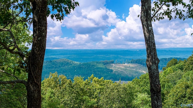 property view of mountains