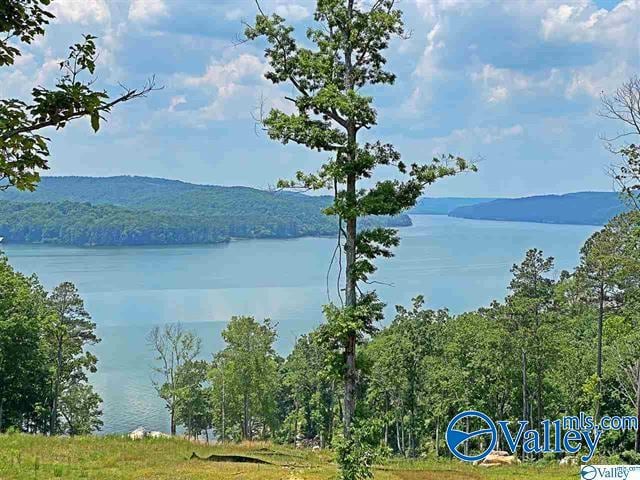 Listing photo 2 for 15 Boathouse Dr, Guntersville AL 35976