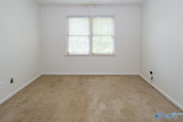 carpeted empty room with ornamental molding