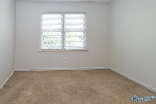 empty room with a wealth of natural light and light colored carpet