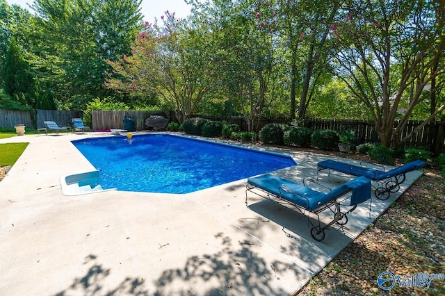 view of swimming pool with a patio area