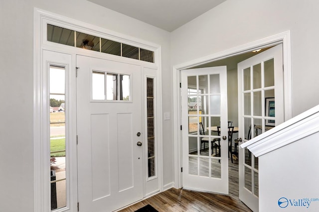 entryway featuring wood-type flooring