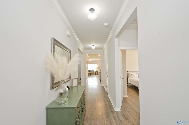 14267 Leadenhall Ln, Athens, AL 35613 - hall featuring ornamental molding, light wood-style flooring, and baseboards