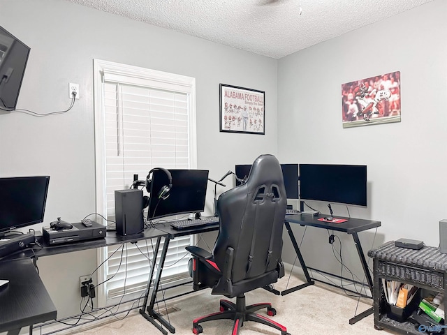 108 Mountain Home Rd, Trinity, AL 35673 - carpeted home office featuring a textured ceiling