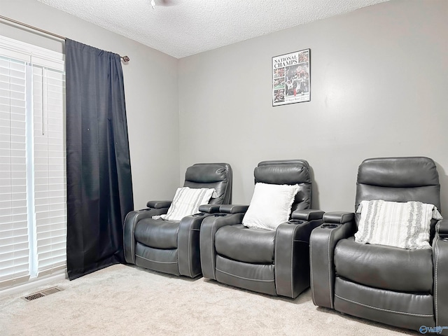 108 Mountain Home Rd, Trinity, AL 35673 - cinema room with light colored carpet and a textured ceiling
