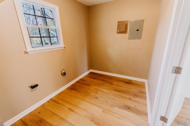 clothes washing area featuring hardwood / wood-style flooring and electric panel