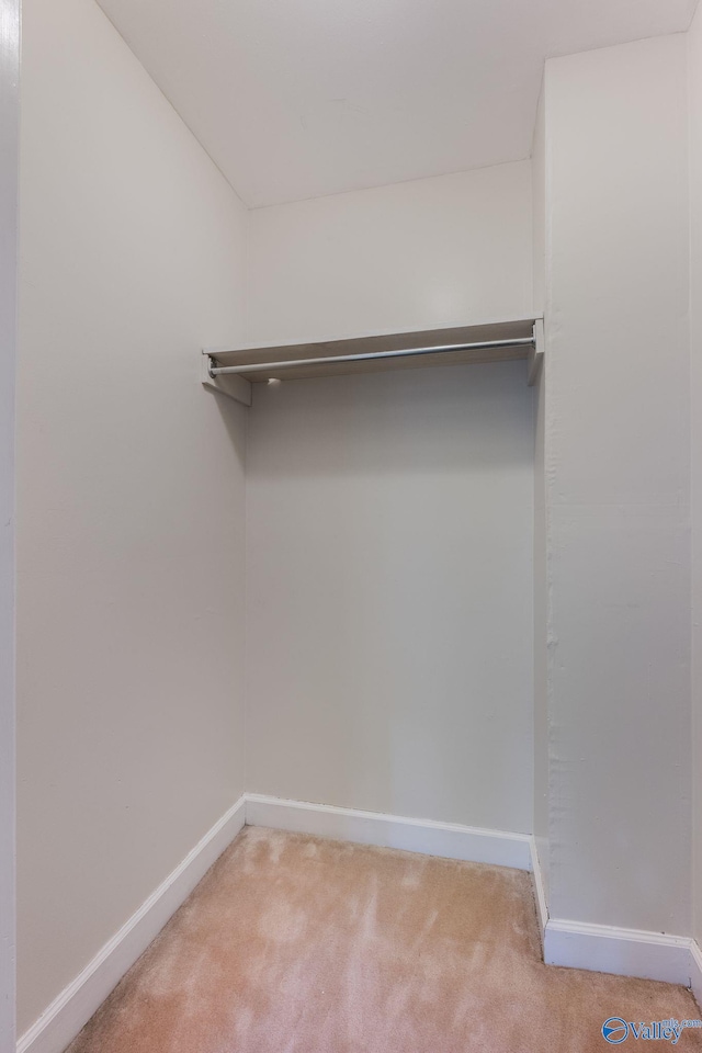 spacious closet featuring carpet flooring