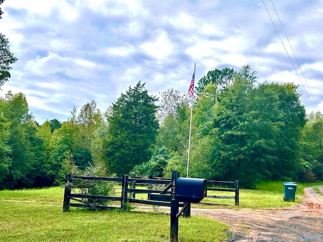 view of community with a yard