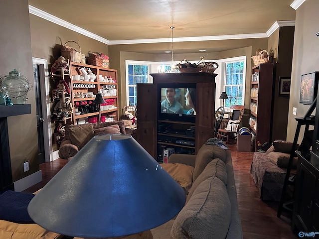 playroom featuring ornamental molding and dark wood-type flooring