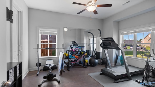 110 Ginamey Cir, Meridianville, AL 35759 - workout area with a ceiling fan and wood finished floors