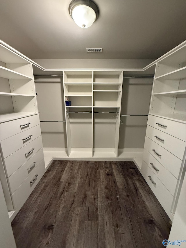 walk in closet with dark hardwood / wood-style floors