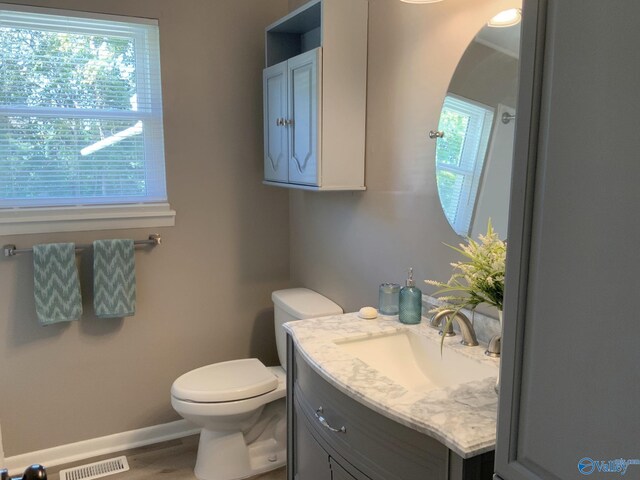 bathroom with toilet, a healthy amount of sunlight, vanity, and hardwood / wood-style flooring