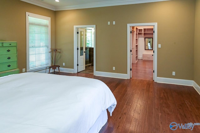 bedroom featuring dark wood-type flooring, a walk in closet, ornamental molding, and a closet