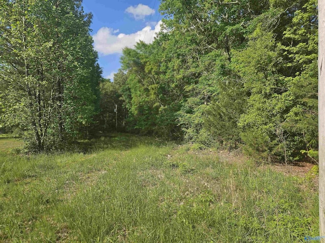 26095 Children Ln, Athens, AL 35613 - view of landscape with a view of trees