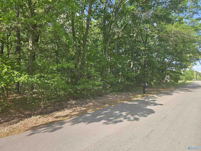 26095 Children Ln, Athens, AL 35613 - view of road