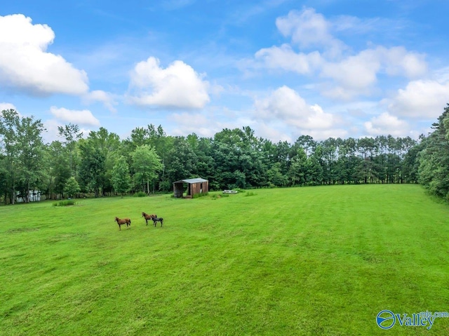 view of yard with a storage shed and a rural view