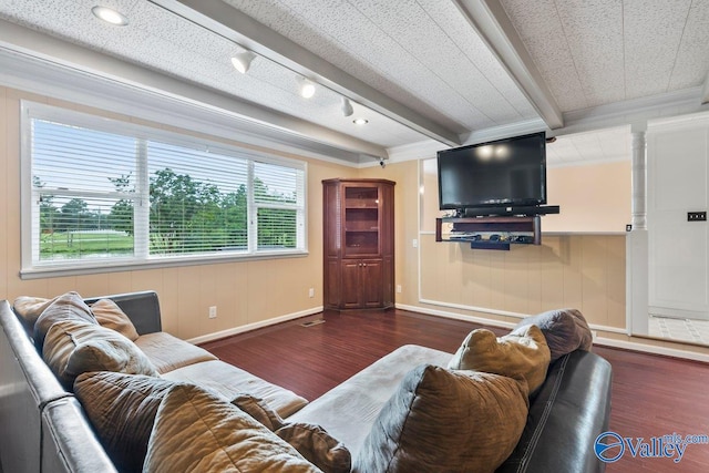 living room featuring beam ceiling, crown molding, plenty of natural light, and dark hardwood / wood-style floors