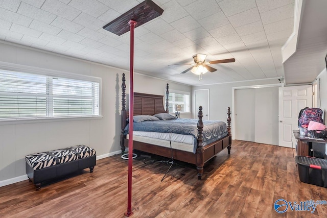 bedroom featuring dark wood-type flooring, multiple windows, and ceiling fan