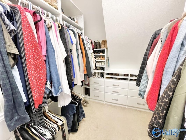 spacious closet with light carpet