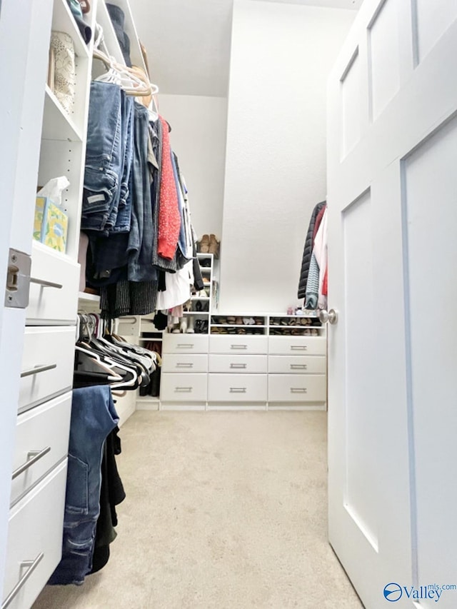 spacious closet featuring light carpet