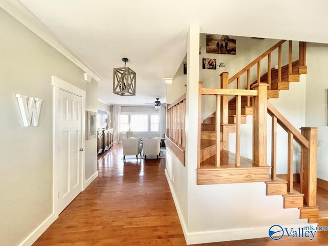 staircase with ceiling fan, ornamental molding, and hardwood / wood-style floors