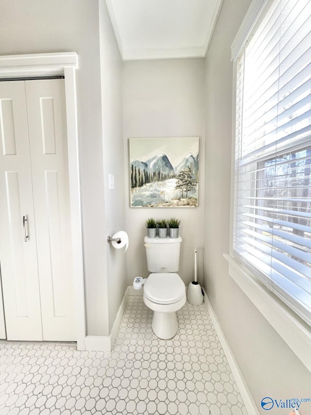 bathroom featuring toilet and ornamental molding