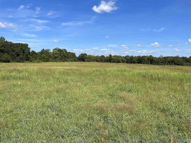 Listing photo 3 for 40ACRES County Road 205, Danville AL 35619