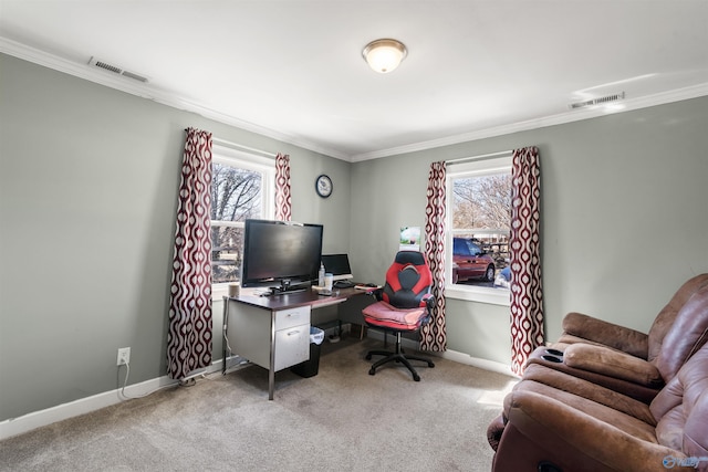 office with baseboards, visible vents, crown molding, and carpet flooring