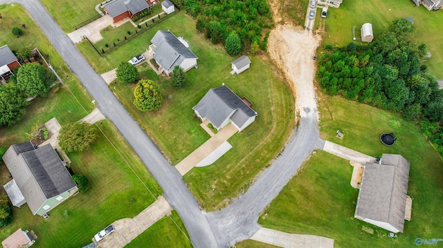 bird's eye view