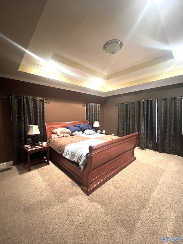 bedroom with a tray ceiling and carpet floors