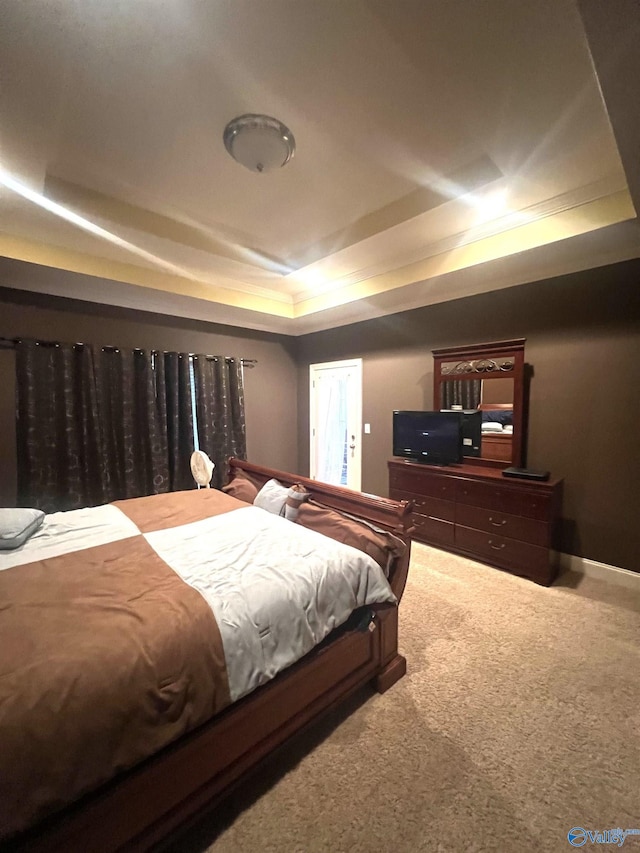 carpeted bedroom with a raised ceiling