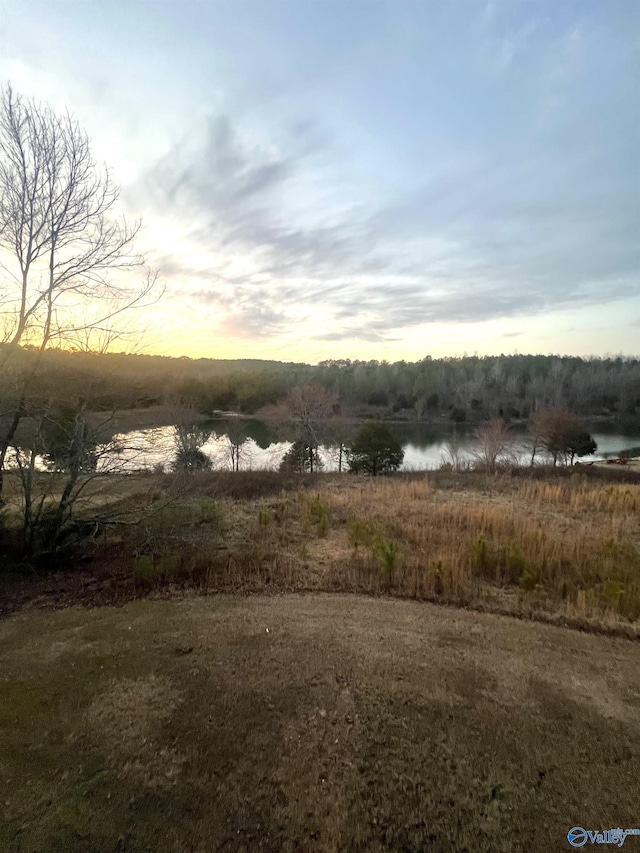 nature at dusk with a water view