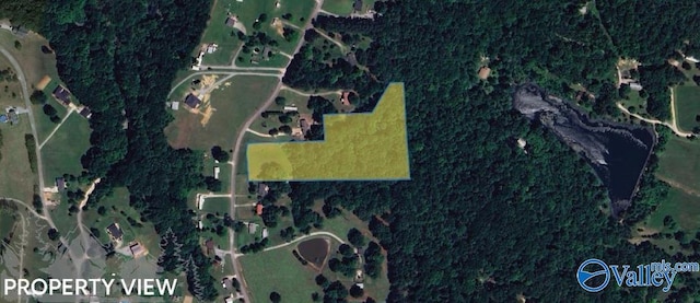 610 County Road 372, Hillsboro AL, 35643 land for sale