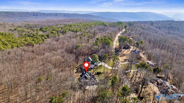 birds eye view of property featuring a mountain view