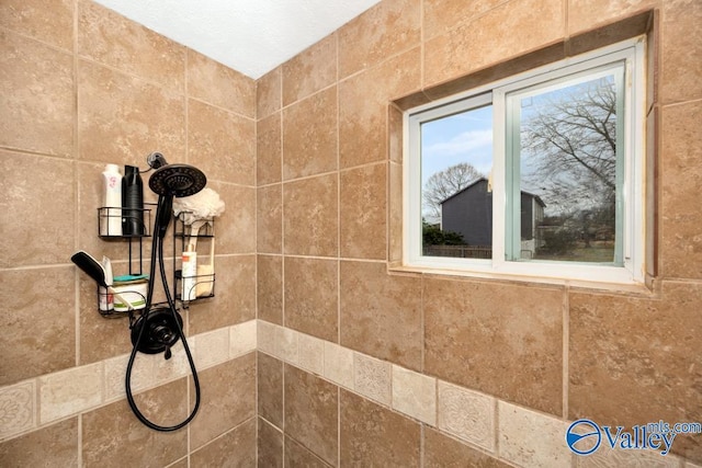 interior details with tiled shower