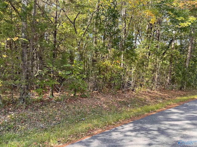 LOT Briarcliff Pt, Rainbow City AL, 35906 land for sale